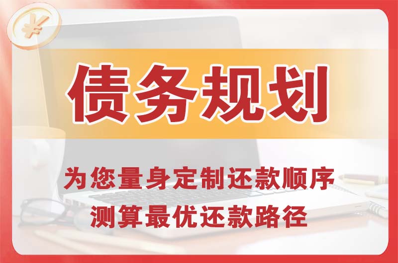 龙马潭债务规划
